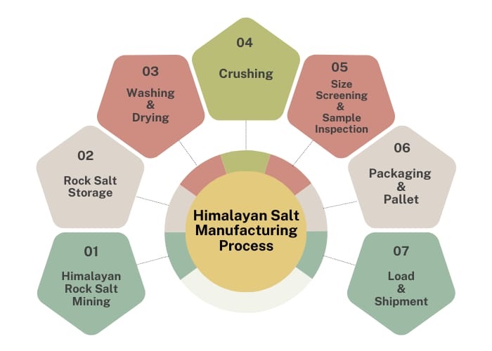 Our Process