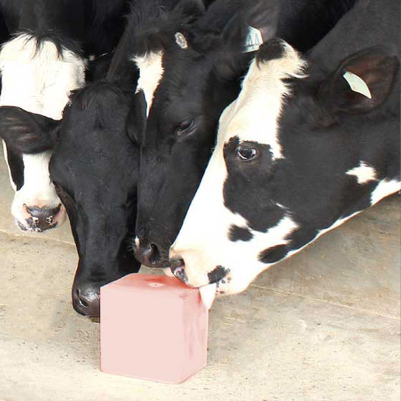 Vital Salt for Cattle